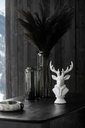 36973-A.webp