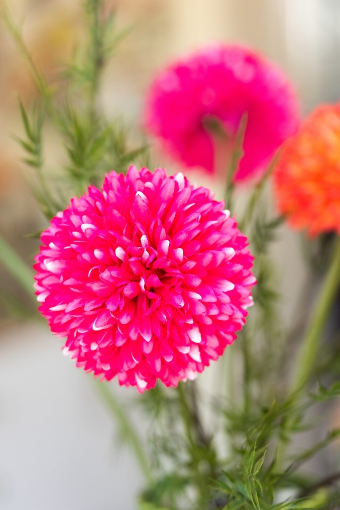 54709-A.webp