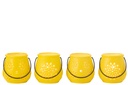 50289-2.webp