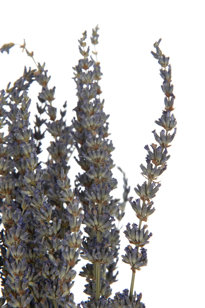 22476-2.webp