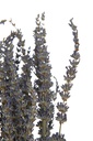 22476-2.webp