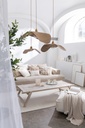 43799-A.webp