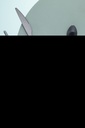 49008-B.webp
