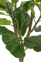 22027-2.webp