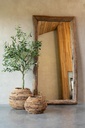 30911-A.webp