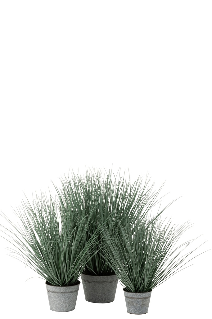 2737-2.webp