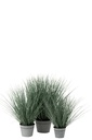 2737-2.webp
