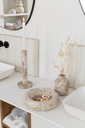 43923-A.webp