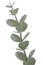 37583-2.webp