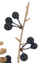 37615-2.webp