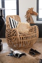 11264-A.webp