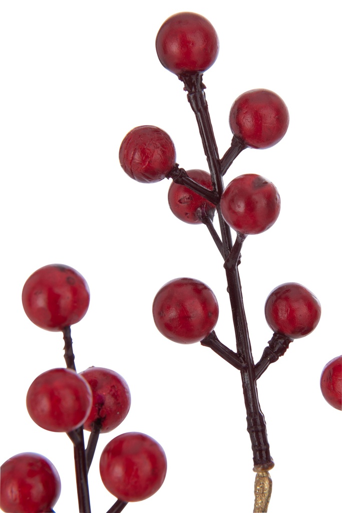 37550-2.webp