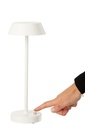 57423-4.webp