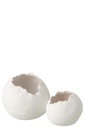 63616-2.webp