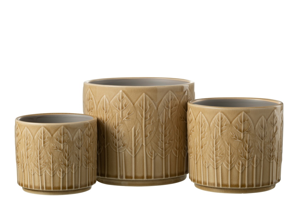 34244-2.webp