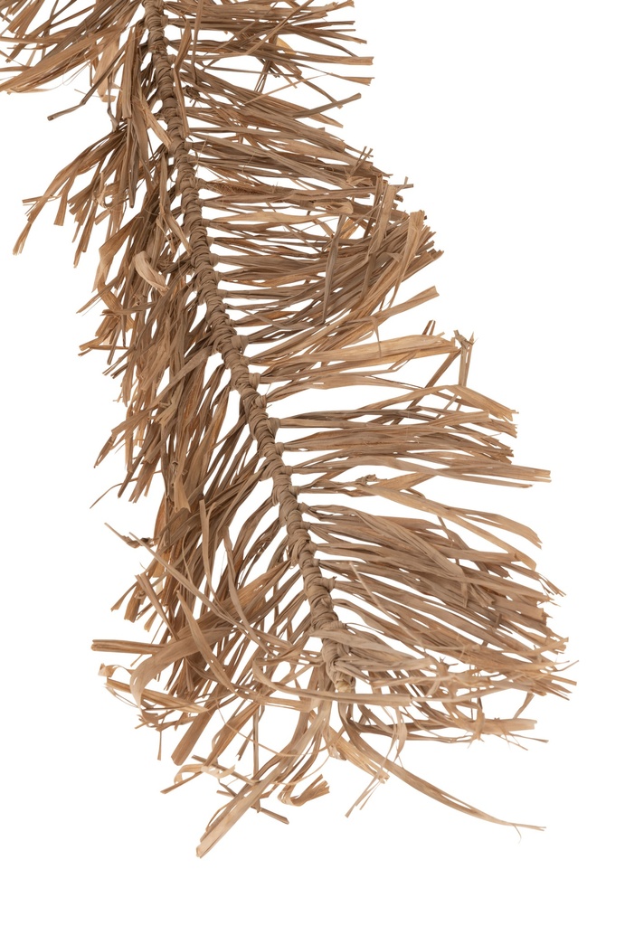 42326-3.webp