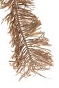 42326-3.webp
