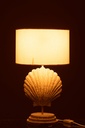 60142-3.webp
