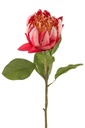 12459-2.webp