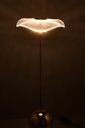 47475-3.webp