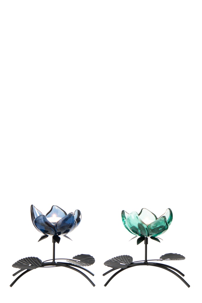 62950-2.webp