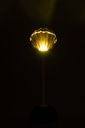 62940-3.webp