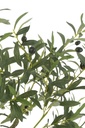 54364-2.webp