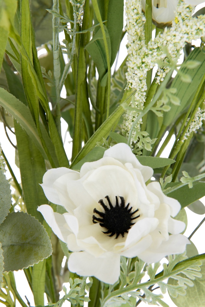 43893-2.webp