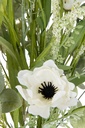 43893-2.webp