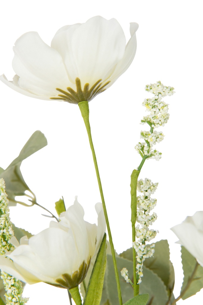 43893-3.webp