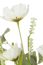 43893-3.webp