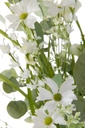 43893-4.webp