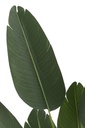 22029-2.webp