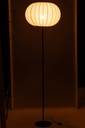 54209-3.webp