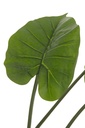 22022-2.webp