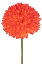 54710-2.webp