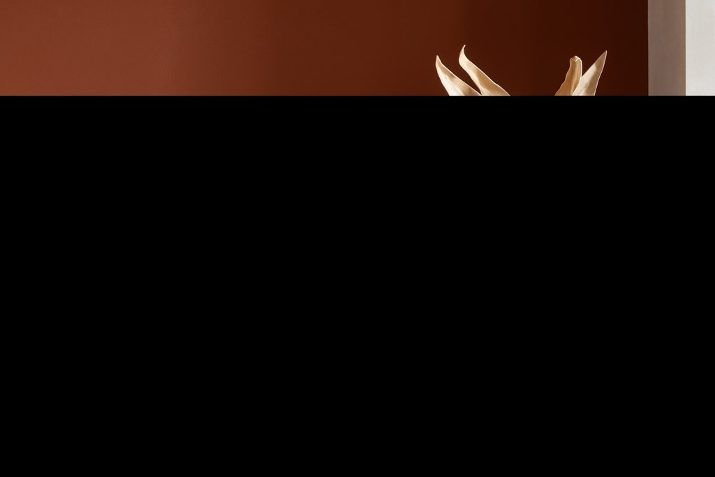 51650-A.webp