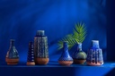 50233-A.webp