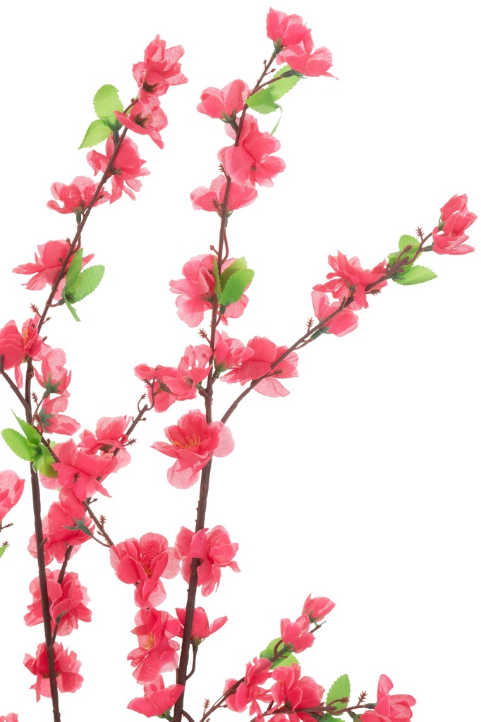 54359-2.webp