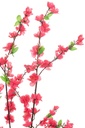 54359-2.webp
