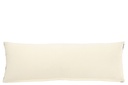 51797-2.webp