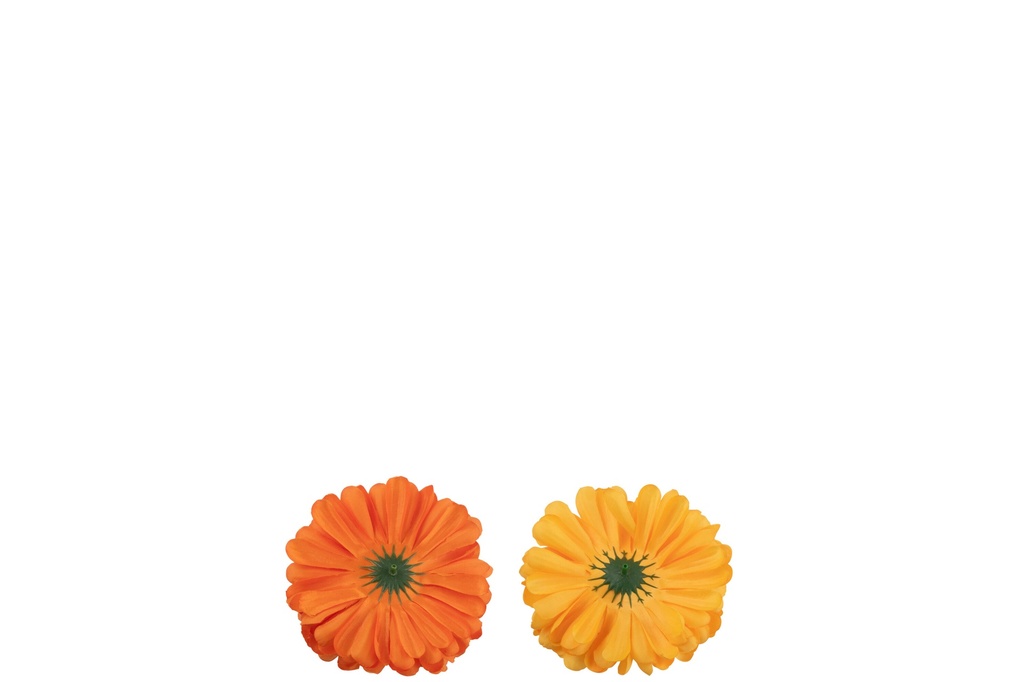 54350-2.webp