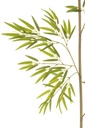 54369-2.webp