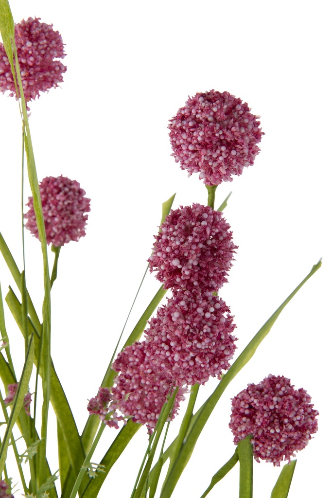 43886-2.webp