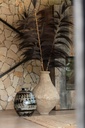 11243-C.webp