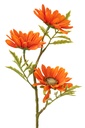 12422-2.webp