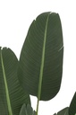 22030-2.webp
