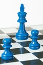 50029-11.webp