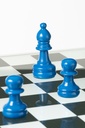 50029-14.webp