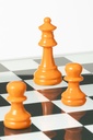 50029-6.webp